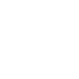 Corporate